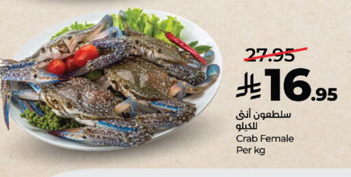 available at لولو هايبرماركت in مملكة العربية السعودية, السعودية, سعودية - جدة