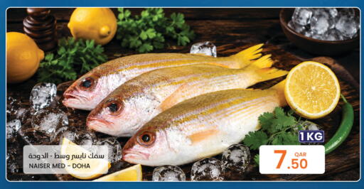 available at Al Baladi Al Yawm in Qatar - Al Shamal