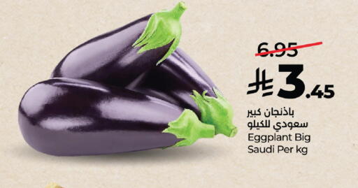 Eggplant from Saudi Arabia available at لولو هايبرماركت in مملكة العربية السعودية, السعودية, سعودية - الطائف
