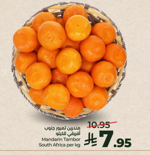 Mandarin from South Africa available at لولو هايبرماركت in مملكة العربية السعودية, السعودية, سعودية - الخرج