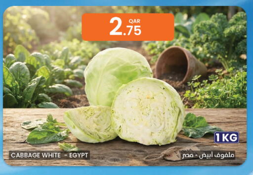 Cabbage from Egypt available at Al Baladi Al Yawm in Qatar - Al Shamal