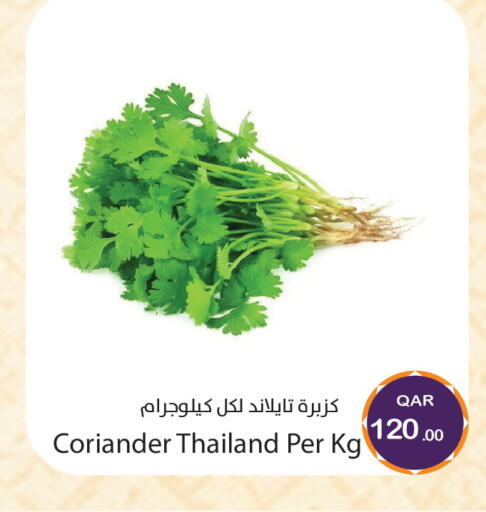 Coriander available at Megamart in Qatar - Al Daayen