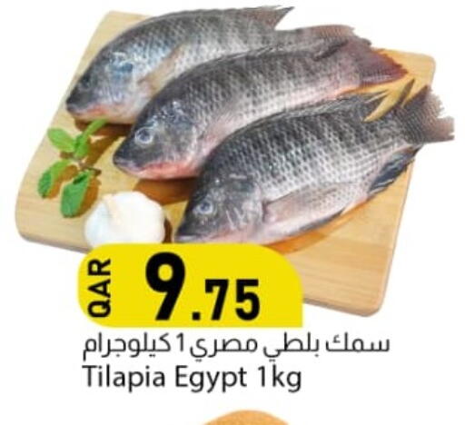 available at Dana Market in Qatar - Al Wakra