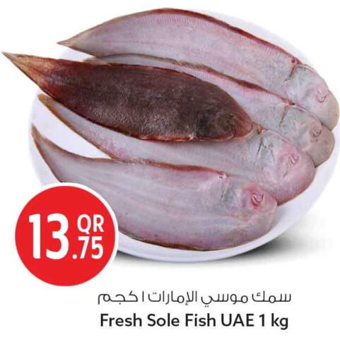 available at Safari Hypermarket in Qatar - Al Wakra