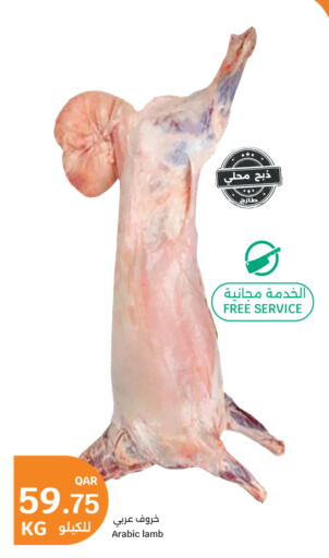 available at City Hypermarket in Qatar - Umm Salal