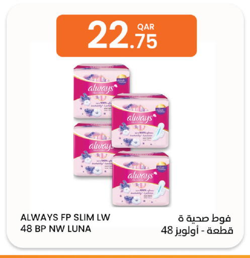 available at Al Baladi Al Yawm in Qatar - Al Shamal