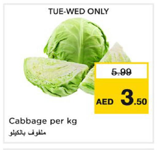 Cabbage available at نستو هايبرماركت in الإمارات العربية المتحدة , الامارات - رَأْس ٱلْخَيْمَة