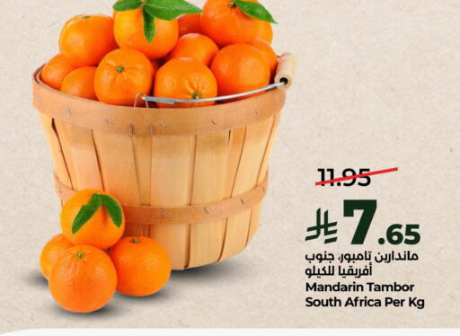 Mandarin from South Africa available at LULU Hypermarket in KSA, Saudi Arabia, Saudi - Al Khobar