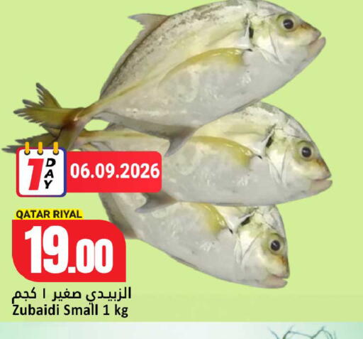 available at دانة هايبرماركت in قطر - الضعاين