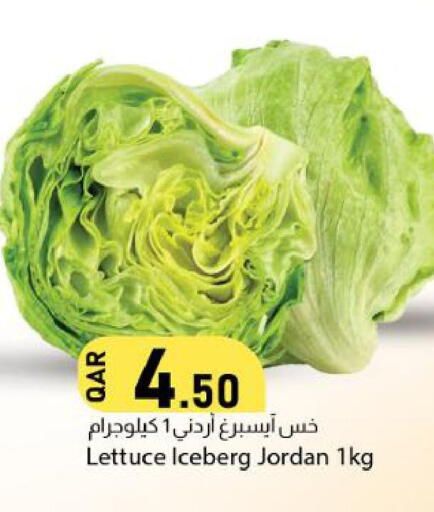 Lettuce from Jordan available at دانا ماركت in قطر - الضعاين