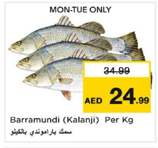 available at Nesto Hypermarket in UAE - Ras al Khaimah