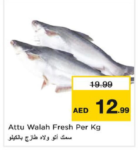 available at Nesto Hypermarket in UAE - Ras al Khaimah