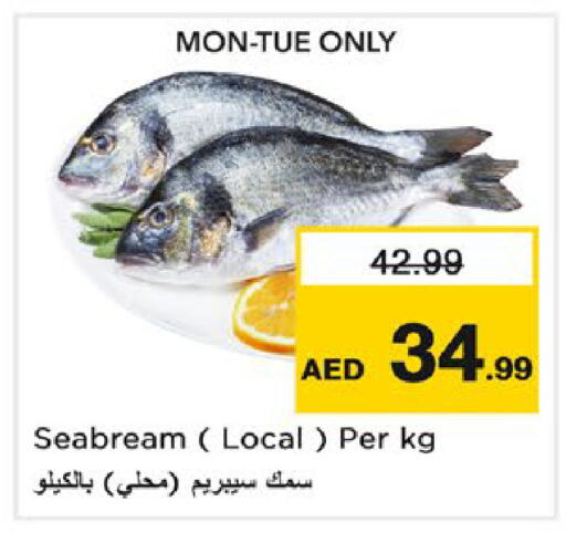 available at نستو هايبرماركت in الإمارات العربية المتحدة , الامارات - رَأْس ٱلْخَيْمَة
