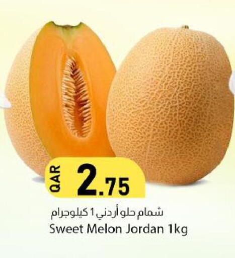 Melon from Jordan available at دانا ماركت in قطر - الضعاين