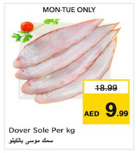available at نستو هايبرماركت in الإمارات العربية المتحدة , الامارات - رَأْس ٱلْخَيْمَة