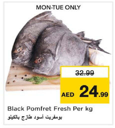 available at نستو هايبرماركت in الإمارات العربية المتحدة , الامارات - رَأْس ٱلْخَيْمَة