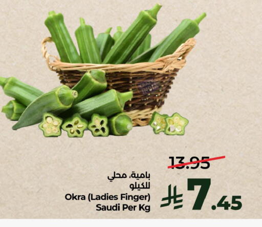 Okra from Saudi Arabia available at لولو هايبرماركت in مملكة العربية السعودية, السعودية, سعودية - الخبر‎