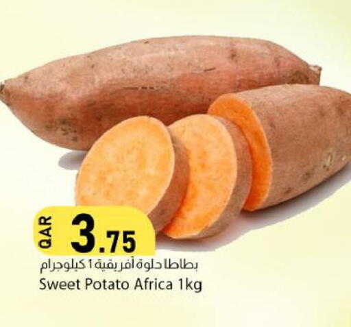 Sweet Potato available at Dana Market in Qatar - Al Khor
