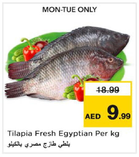 available at نستو هايبرماركت in الإمارات العربية المتحدة , الامارات - رَأْس ٱلْخَيْمَة