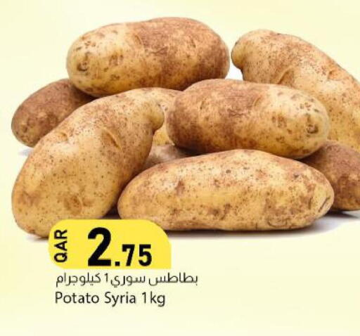Potato from Syria available at Dana Market in Qatar - Al Khor