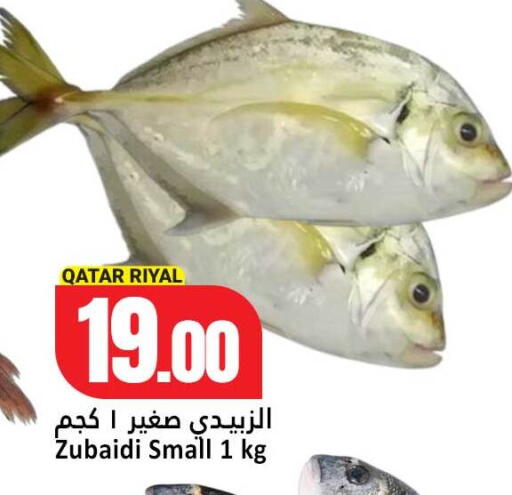 available at Dana Hypermarket in Qatar - Doha