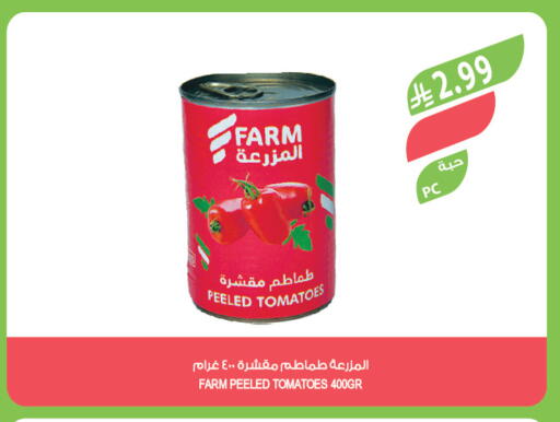 Tomato available at Farm  in KSA, Saudi Arabia, Saudi - Jeddah