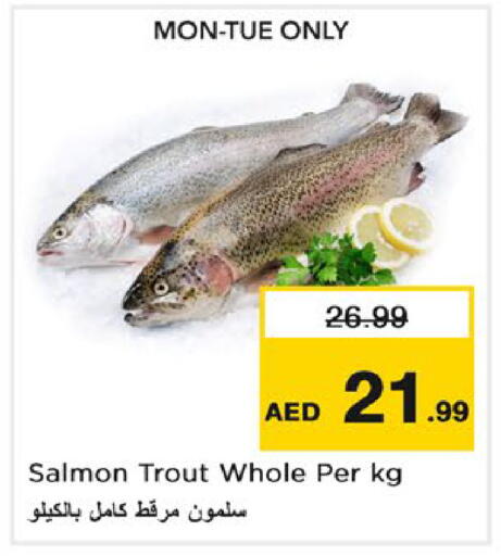 available at نستو هايبرماركت in الإمارات العربية المتحدة , الامارات - رَأْس ٱلْخَيْمَة