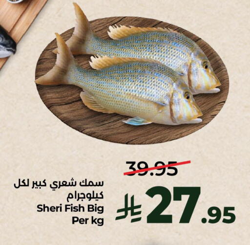 available at LULU Hypermarket in KSA, Saudi Arabia, Saudi - Al Khobar