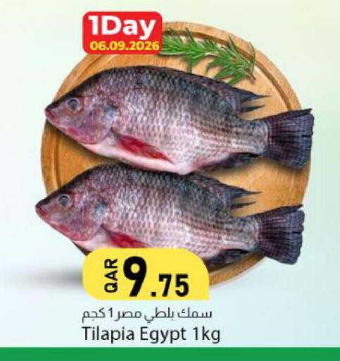 available at Dana Market in Qatar - Al Wakra