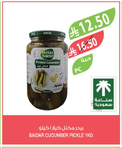Cucumber available at المزرعة in مملكة العربية السعودية, السعودية, سعودية - الخبر‎