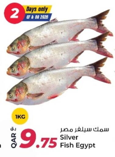 available at Rawabi Hypermarket in Qatar - Umm Salal