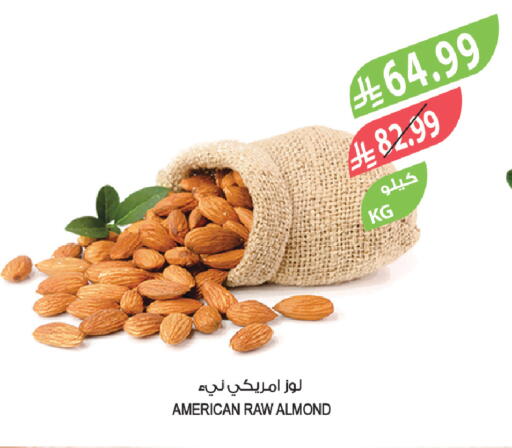 available at المزرعة in مملكة العربية السعودية, السعودية, سعودية - الخبر‎