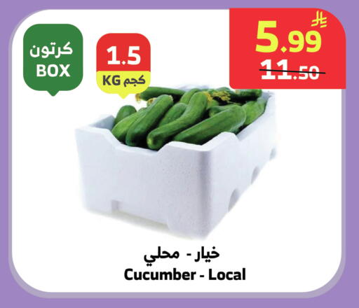 Cucumber available at الراية in مملكة العربية السعودية, السعودية, سعودية - جدة