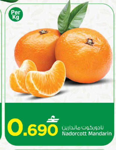 Mandarin available at MARK & SAVE in Oman - Muscat