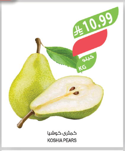 available at المزرعة in مملكة العربية السعودية, السعودية, سعودية - تبوك