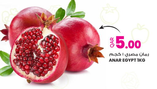 from Egypt available at أنصار جاليري in قطر - الضعاين