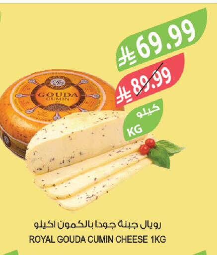 Cumin available at المزرعة in مملكة العربية السعودية, السعودية, سعودية - جدة