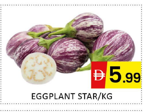 Eggplant available at المدينة in الإمارات العربية المتحدة , الامارات - دبي