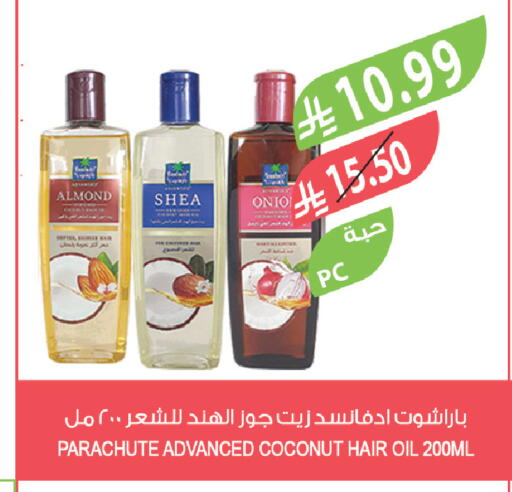Coconut available at Farm  in KSA, Saudi Arabia, Saudi - Jeddah
