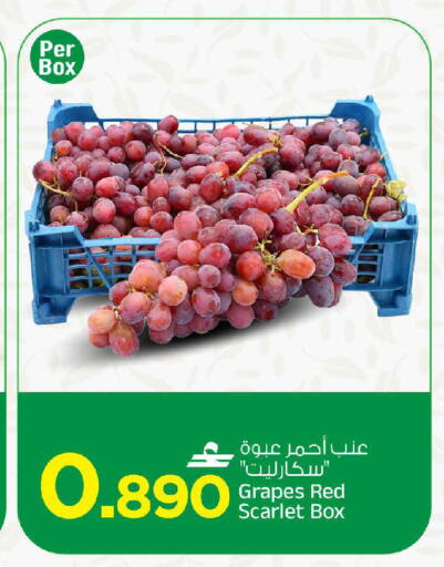 Grapes available at MARK & SAVE in Oman - Muscat