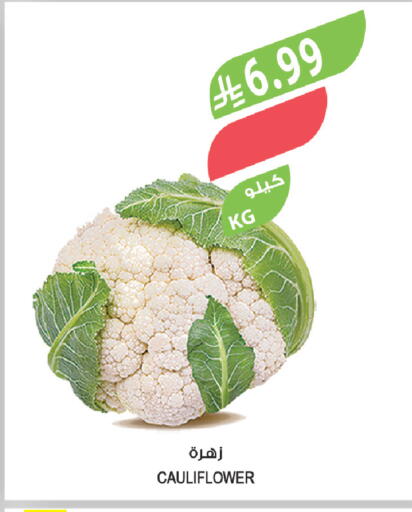 Cauliflower available at Farm  in KSA, Saudi Arabia, Saudi - Jeddah