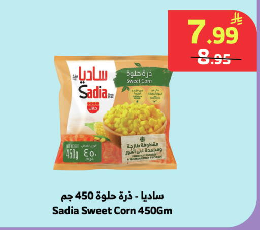 available at الراية in مملكة العربية السعودية, السعودية, سعودية - المدينة المنورة