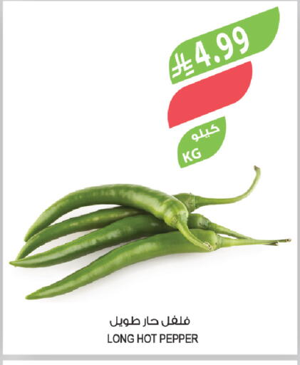 Pepper available at Farm  in KSA, Saudi Arabia, Saudi - Al-Kharj