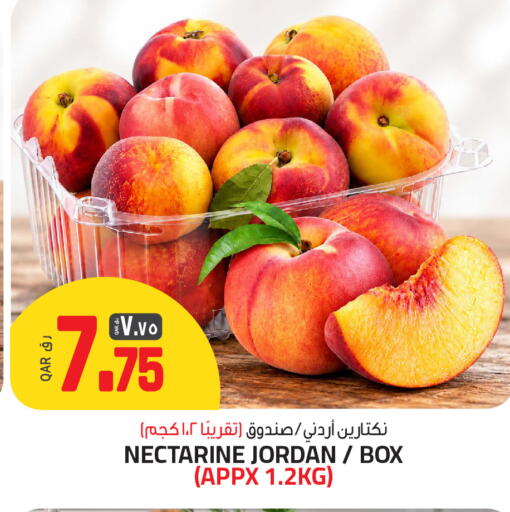 Nectarine from Jordan available at السعودية in قطر - الخور