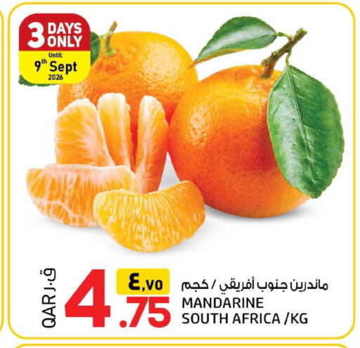 from South Africa available at السعودية in قطر - الخور
