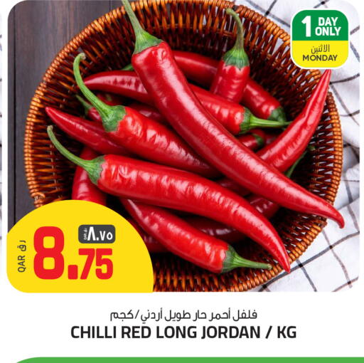 Chilli from Jordan available at السعودية in قطر - الخور