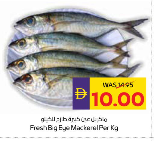 available at ADCOOP in UAE - Ras al Khaimah