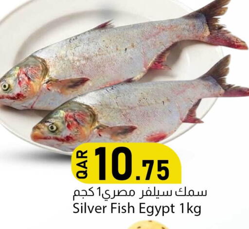 available at Dana Market in Qatar - Doha