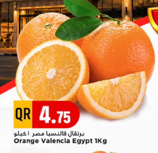 Orange from Egypt available at مرزا هايبرماركت in قطر - الدوحة