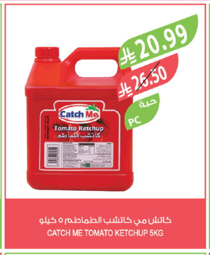 Tomato available at Farm  in KSA, Saudi Arabia, Saudi - Jeddah